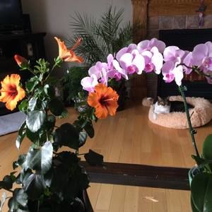 Meet your Posher, Sue